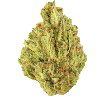 Blue Flame Strain