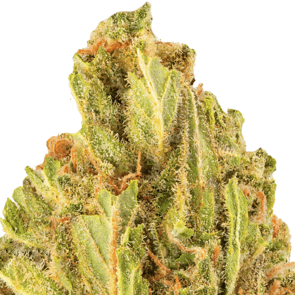 Blue Flame Strain