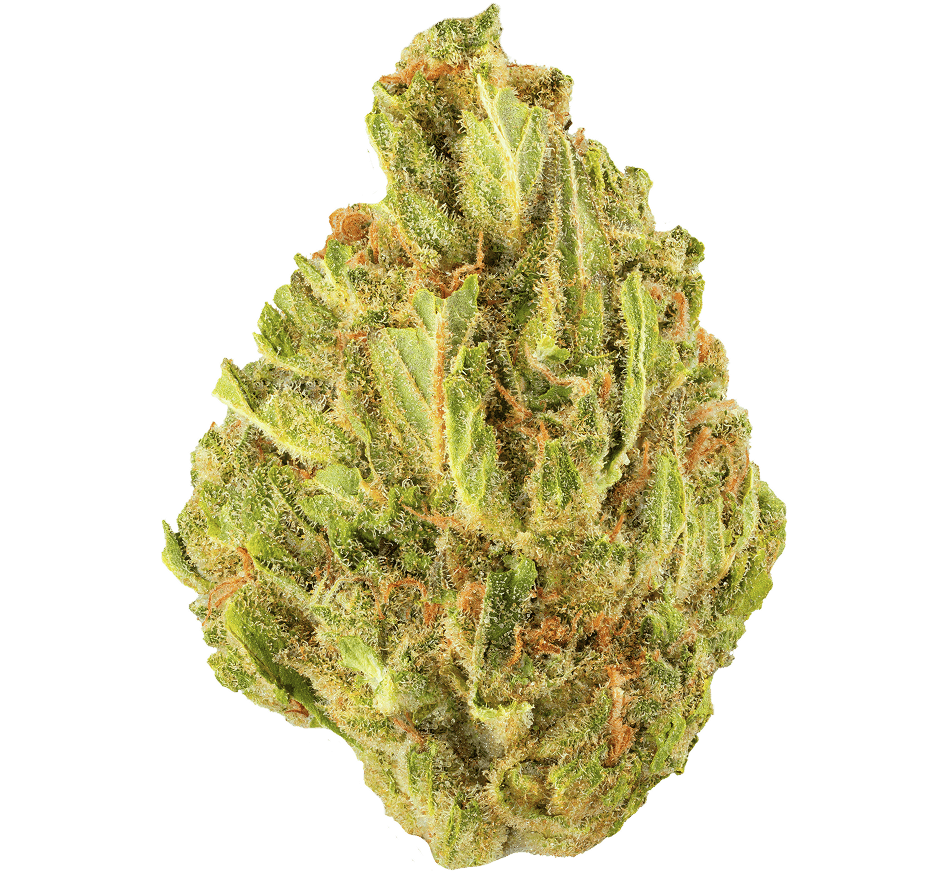 Blue Flame Strain