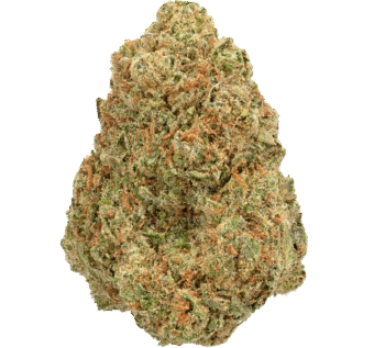 Cherry Bliss Strain