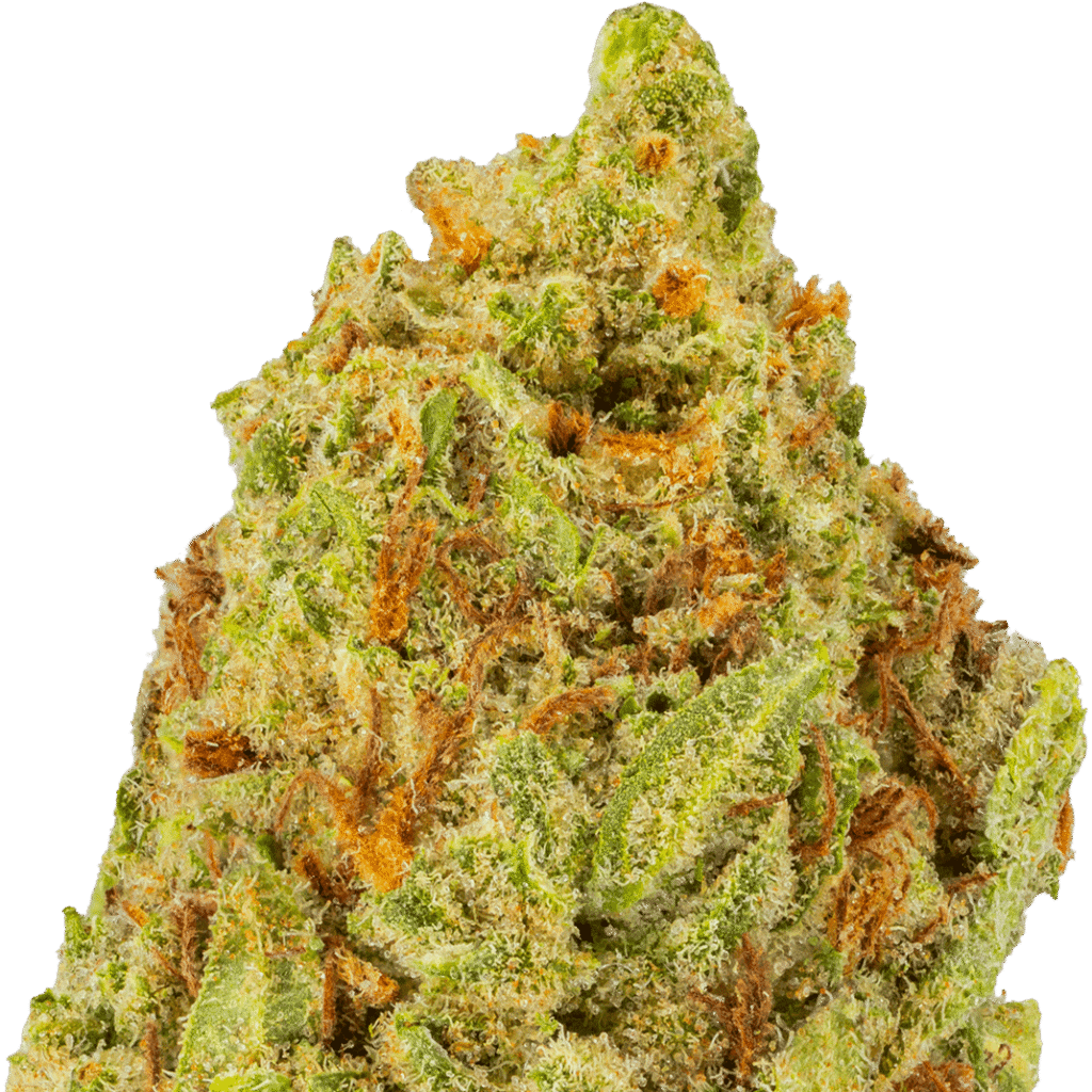 Hella Jelly Strain