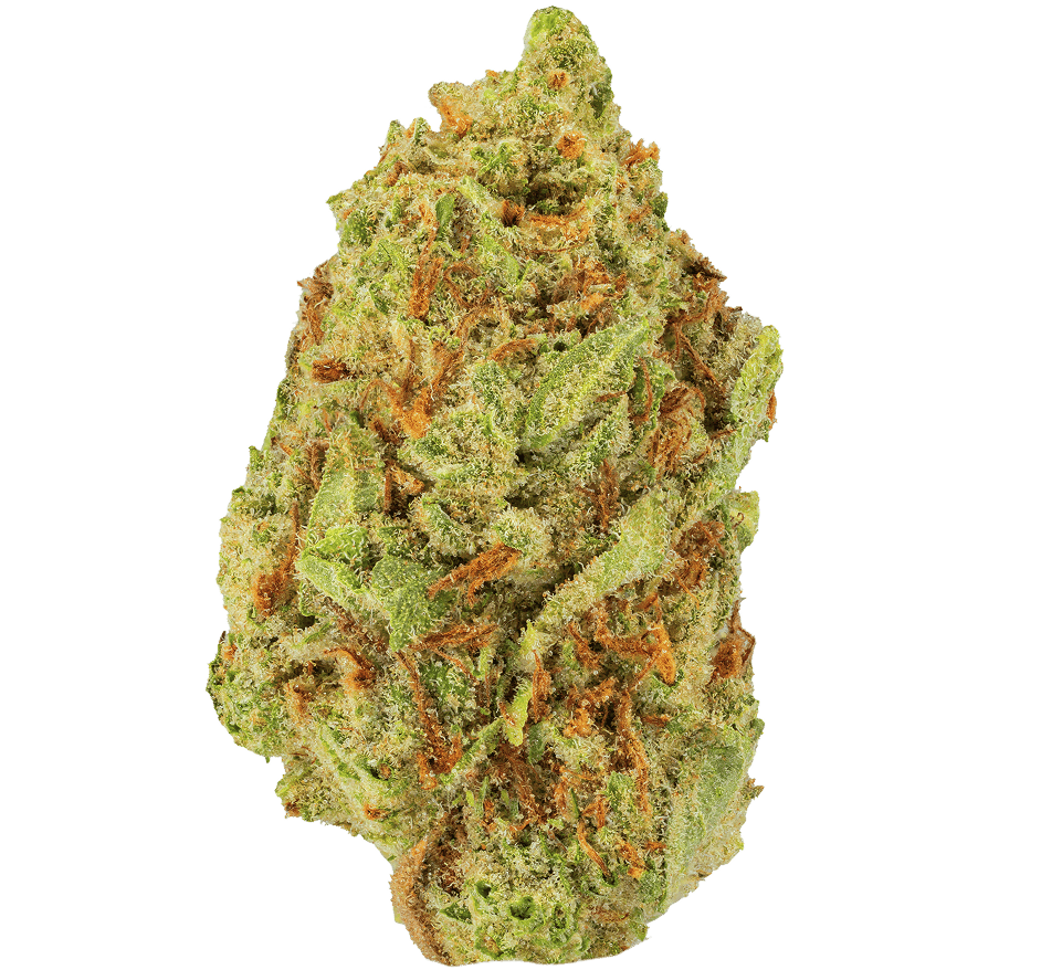 Hella Jelly Strain