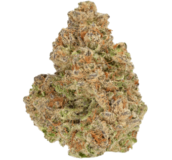 Hood Candy Strain