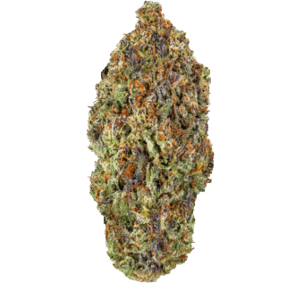 Ice Cream Cake Strain