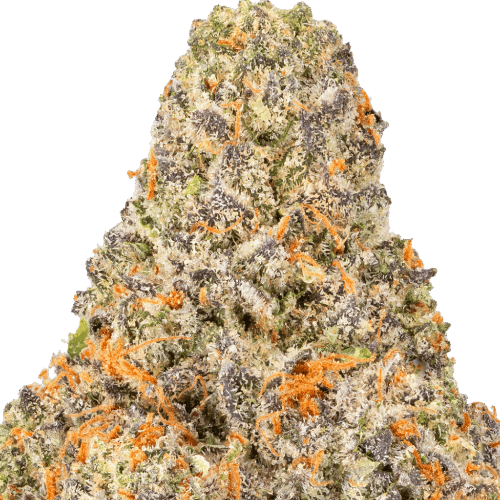 Ice Cream Pie Strain
