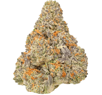 Ice Cream Pie Strain