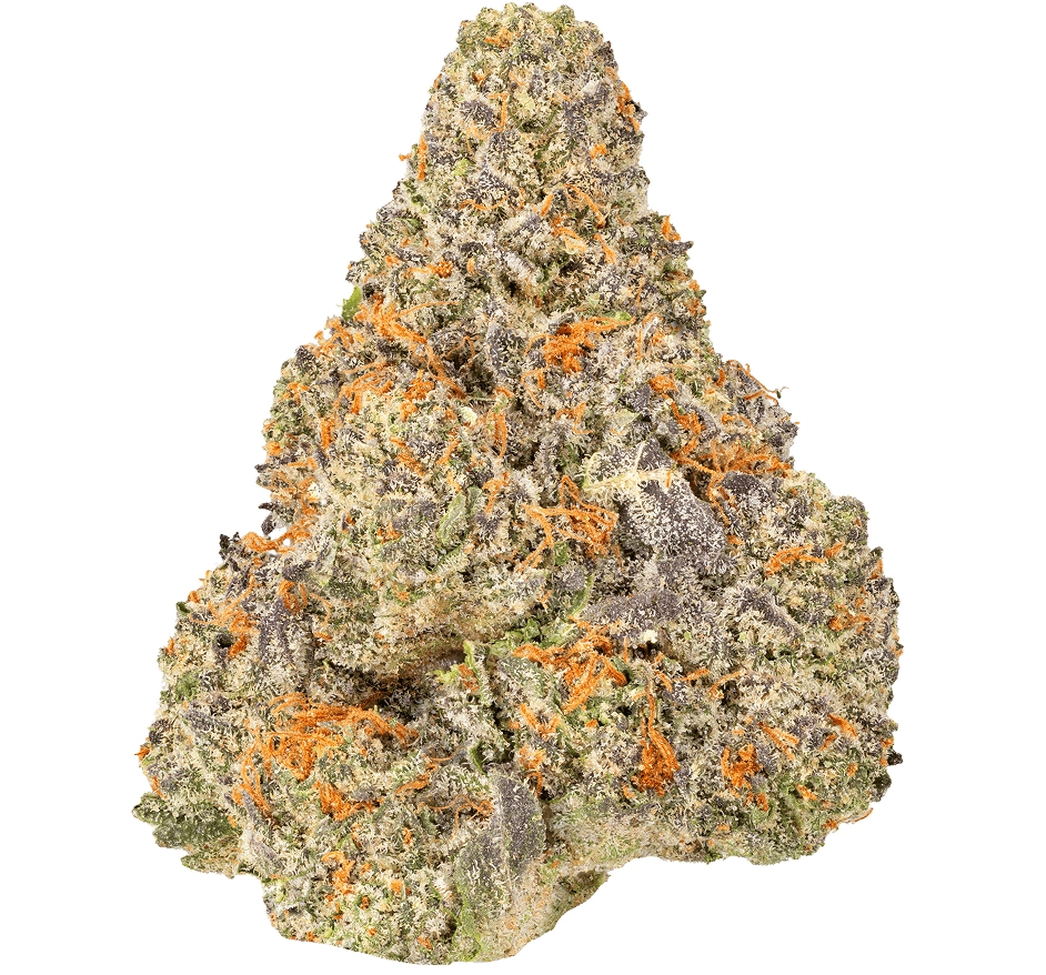Ice Cream Pie Strain