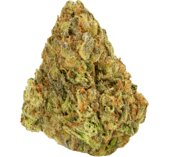 Lemon Cherry Gelato Strain