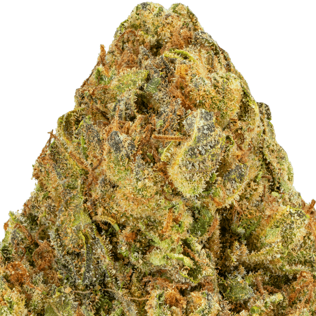 Lemon Cherry Gelato Strain