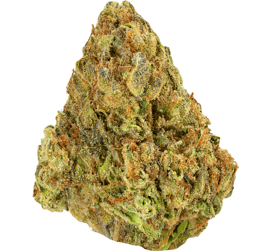 Lemon Cherry Gelato Strain