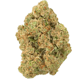 Lemonatti Strain