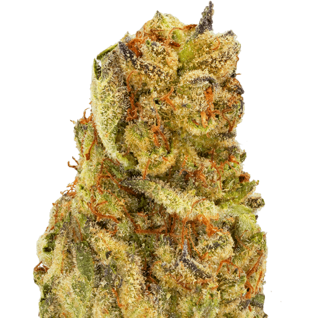 Papaya Bomb Strain