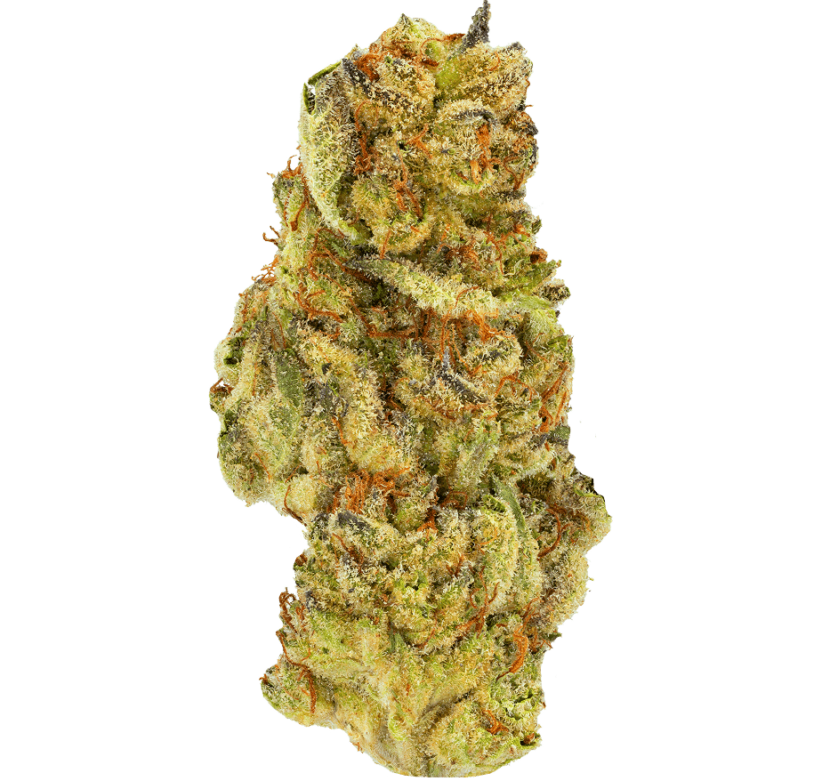 Papaya-Bomb-Strain Papaya Bomb Strain