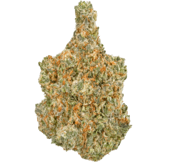 Pink Runtz Strain