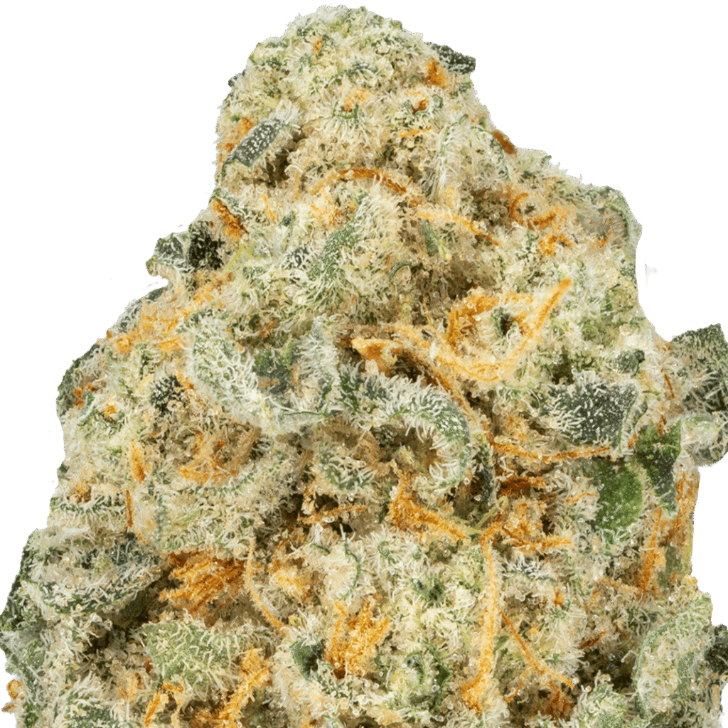 Purple Panty Dropper Strain