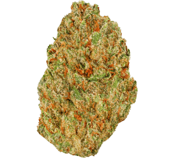 SFV OG Strain