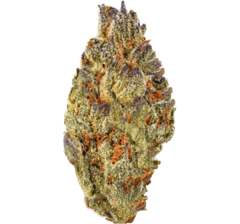 Slurricane Strain