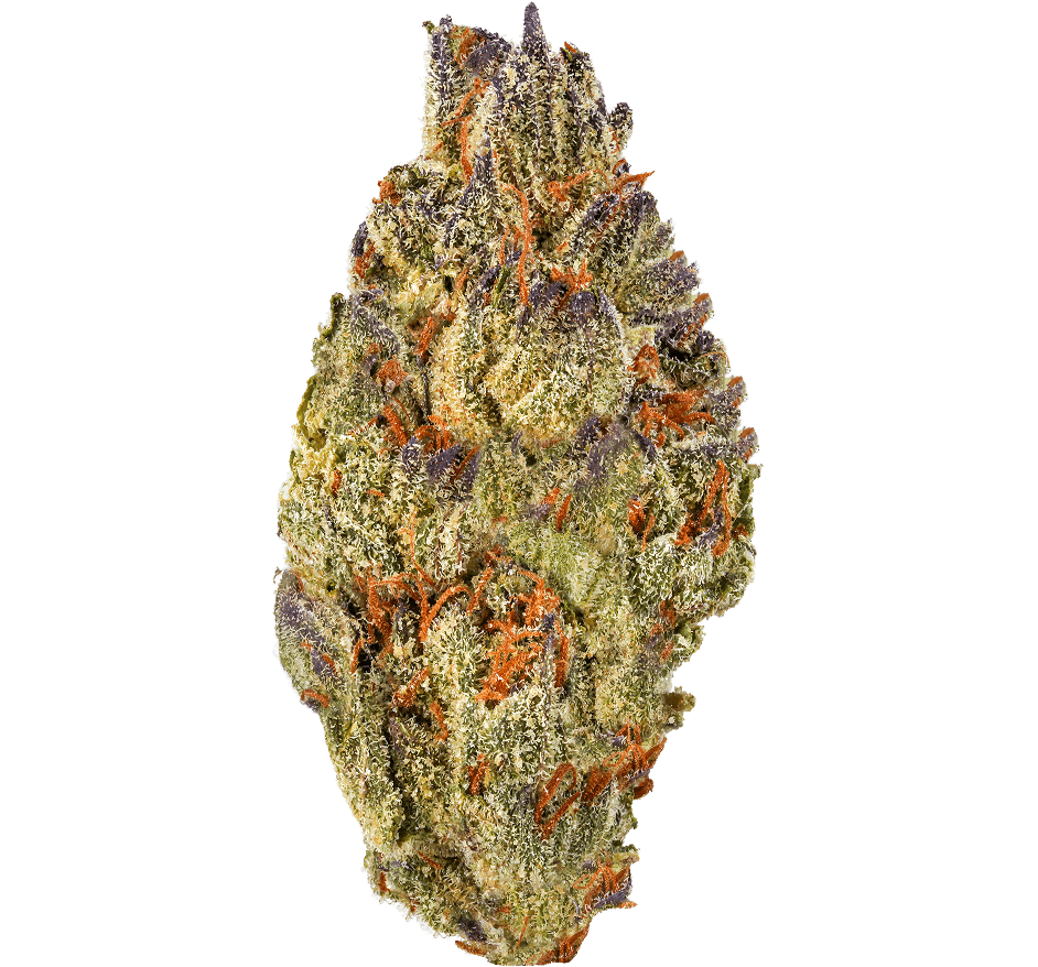 Slurricane Strain