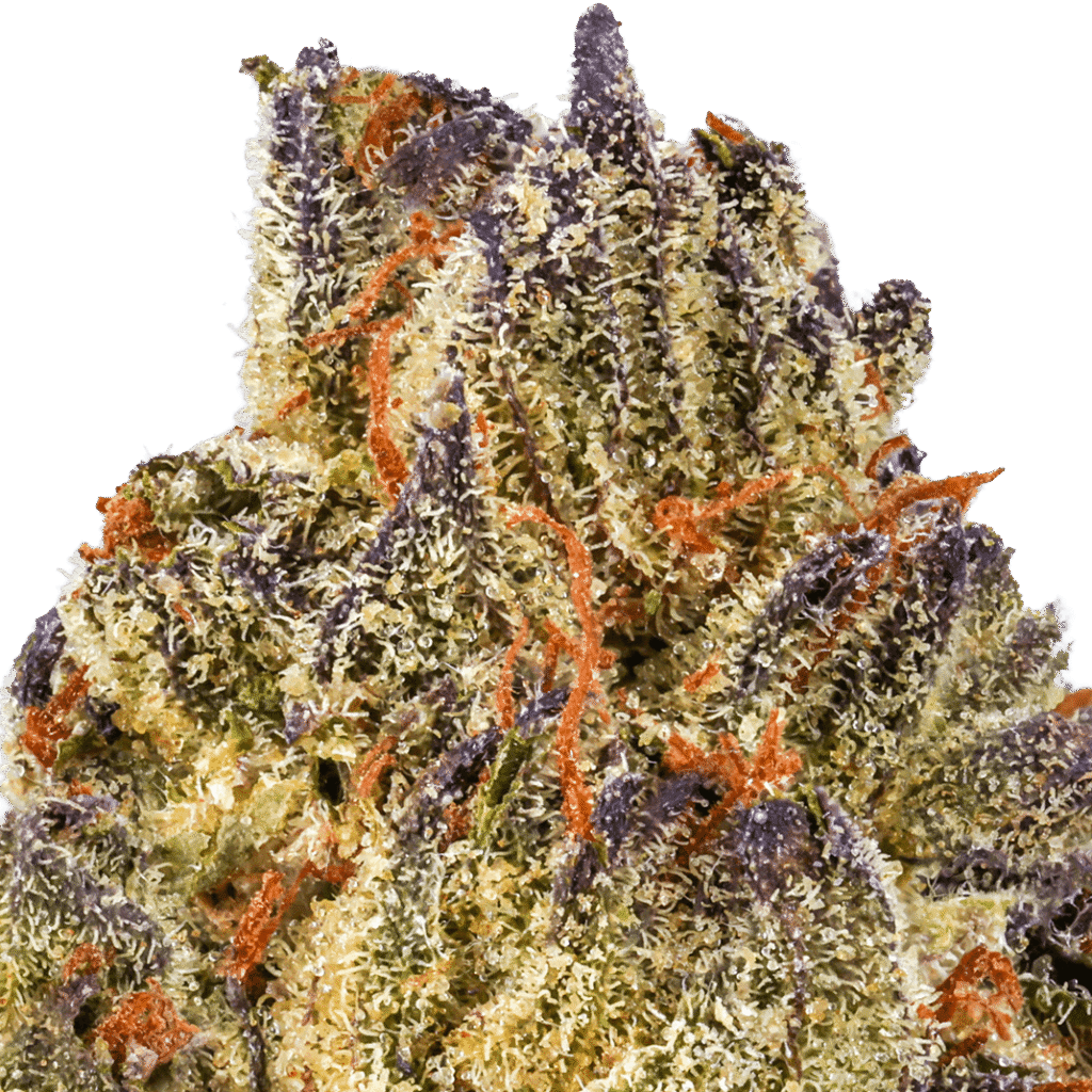 Slurricane Strain