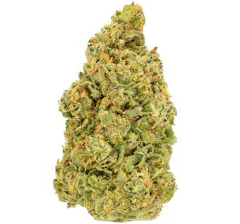Sour-Runtz-Strain (1) Sour Runtz Strain