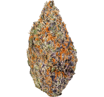 Warhead Strain