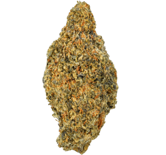 White Cherries Strain