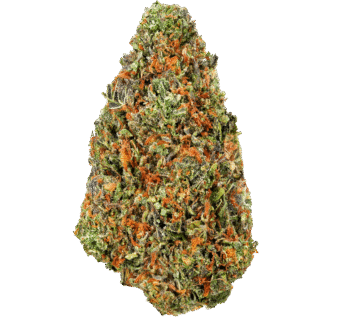 White-Runtz-Strain (2) White Runtz Strain