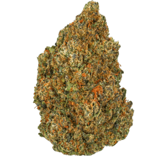 White Runtz Strain