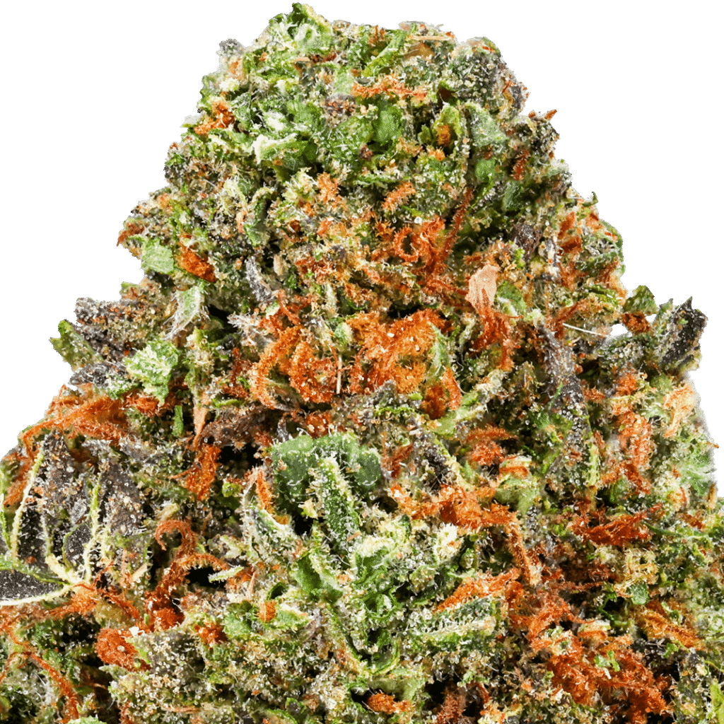 White Runtz Strain